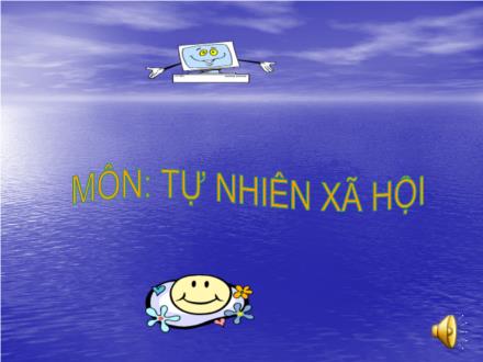 Bài giảng Tự nhiên và xã hội Lớp 1 - Bài: Nhận biết cây cối và con vật