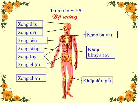 Bài giảng Tự nhiên và xã hội Lớp 2 - Bài 2: Bộ xương