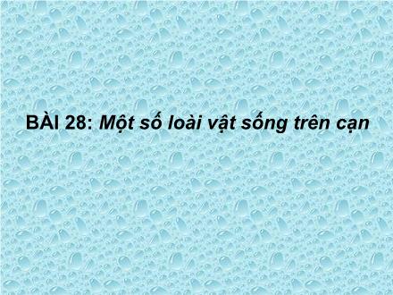 Bài giảng Tự nhiên và xã hội Lớp 2 - Bài 28: Một số loài vật sống trên cạn