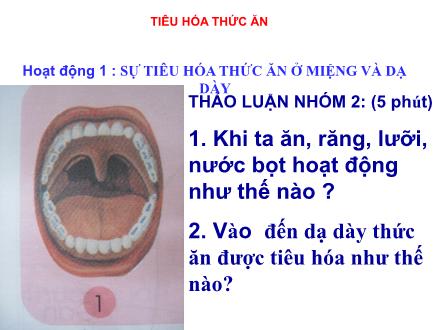 Bài giảng Tự nhiên và xã hội Lớp 2 - Bài 6: Tiêu hóa thức ăn