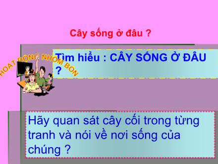 Bài giảng Tự nhiên và xã hội Lớp 2 - Bài: Cây sống ở đâu ?