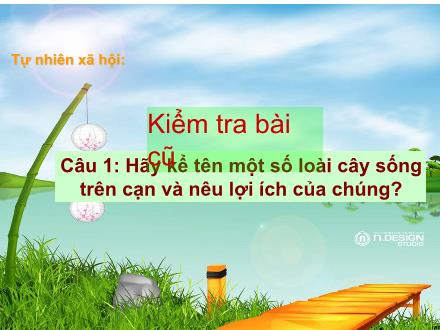 Bài giảng Tự nhiên và xã hội Lớp 2 - Bài: Một số loài cây sống dưới nước