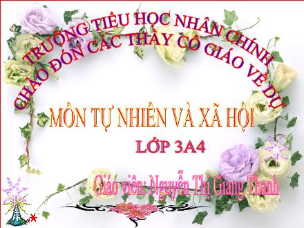 Bài giảng Tự nhiên và xã hội Lớp 3 - Bài 55: Thú (Tiếp theo) - Nguyễn Thị Giang Thanh