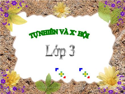 Bài giảng Tự nhiên và xã hội Lớp 3 - Bài: Hoạt động nông nghiệp