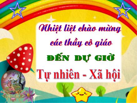 Bài giảng Tự nhiên và xã hội Lớp 3 - Bài: Hoạt động thần kinh