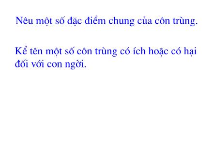 Bài giảng Tự nhiên và xã hội Lớp 3 - Bài: Tôm cua - Nguyễn Thị Thúy Hằng
