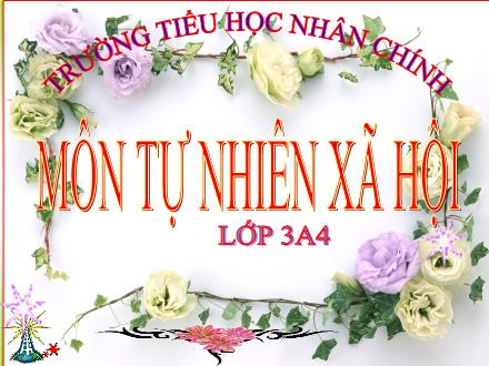 Bài giảng Tự nhiên và xã hội Lớp 3 - Bài: Vệ sinh thần kinh Bài giảng Tự nhiên và xã hội Lớp 3 - Bài: Vệ sinh thần kinh