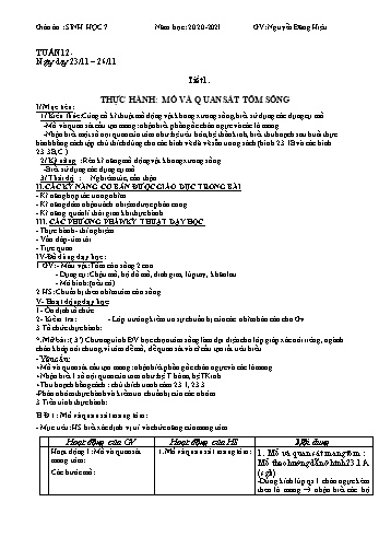 Giáo án Sinh học Lớp 7 - Tuần 12 - Nguyễn Đăng Hiệu - Năm học 2020-2021