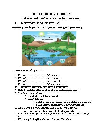 Nội dung bài học môn Sinh học Lớp 9 - Tiết 41-44