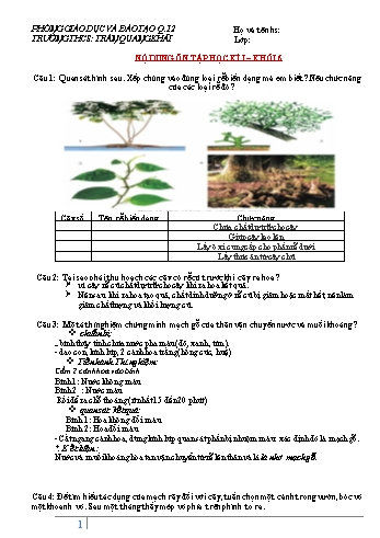 Ôn tập học kì I môn Sinh học Lớp 6