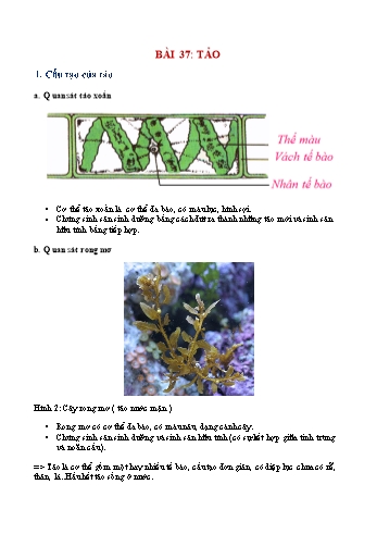 Ôn tập môn Sinh học Lớp 6 - Bài 37+38
