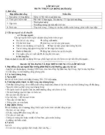 Ôn tập môn Sinh học Lớp 7 - Chủ đề: Lớp bò sát