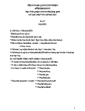 Ôn tập môn Sinh học Lớp 8 - Bài 47-50 - Quách Thúy Hằng