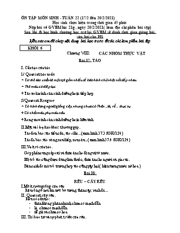 Ôn tập môn Sinh học THCS - Tuần 22 - Năm học 2020-2021